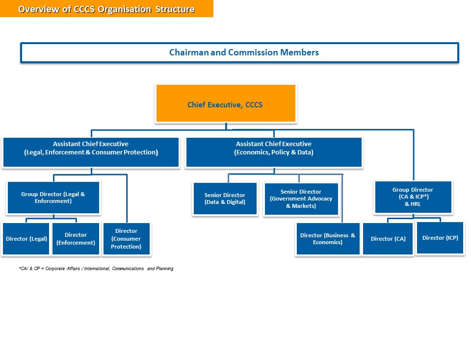 CCCS Organisation Chart 2024